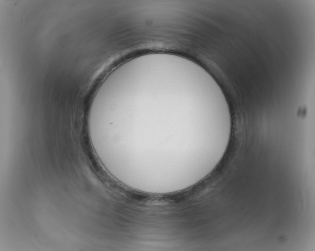 X0000111130208200906301113