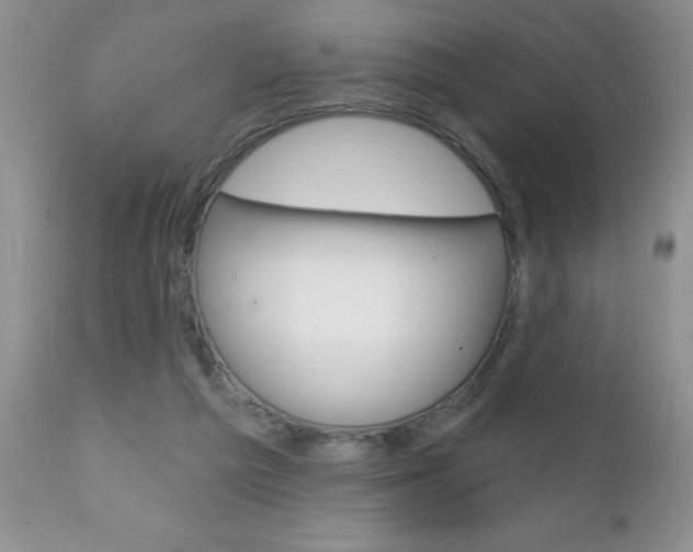 X0000111130209200906301113