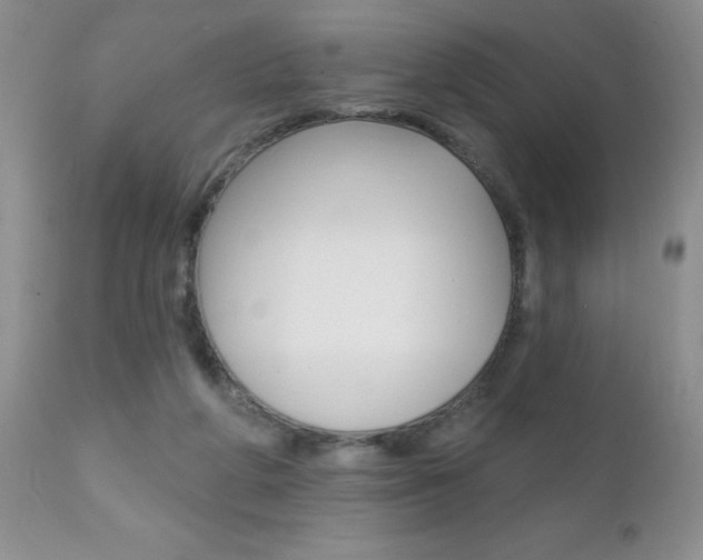 X0000111130210200906301113
