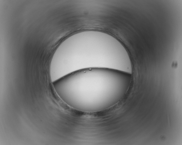 X0000111130211200906301113