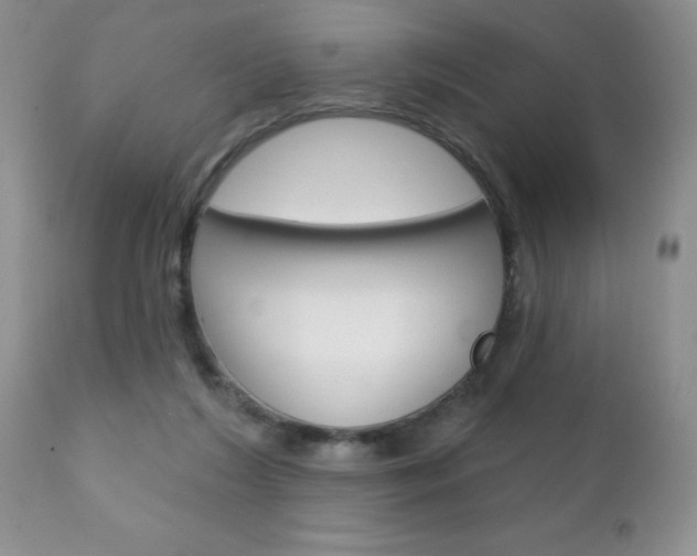 X0000111130212200906301113