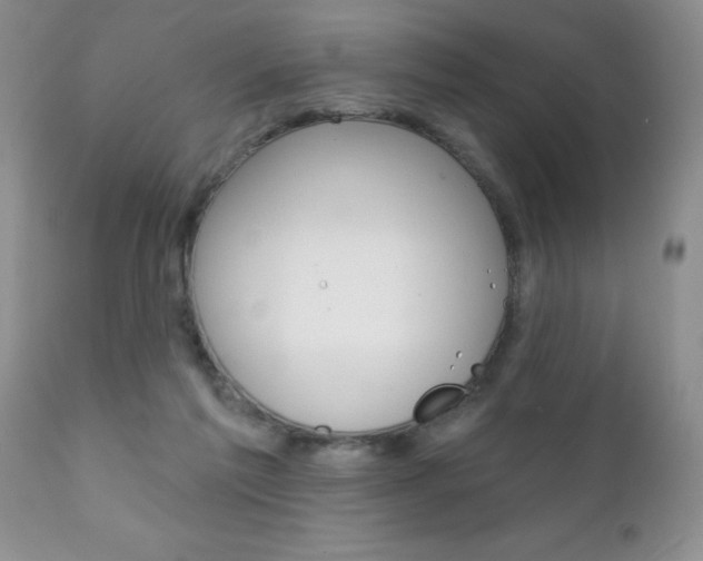 X0000111130213200906301113