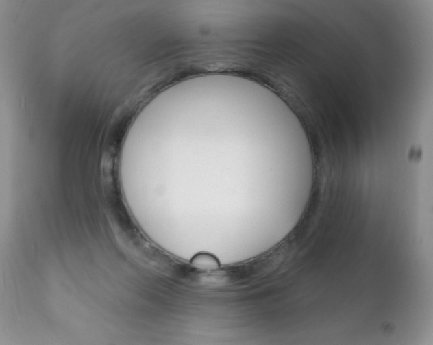 X0000111130214200906301113