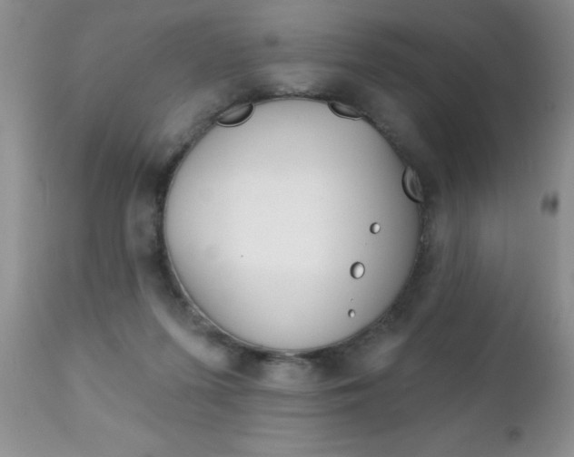 X0000111130215200906301113