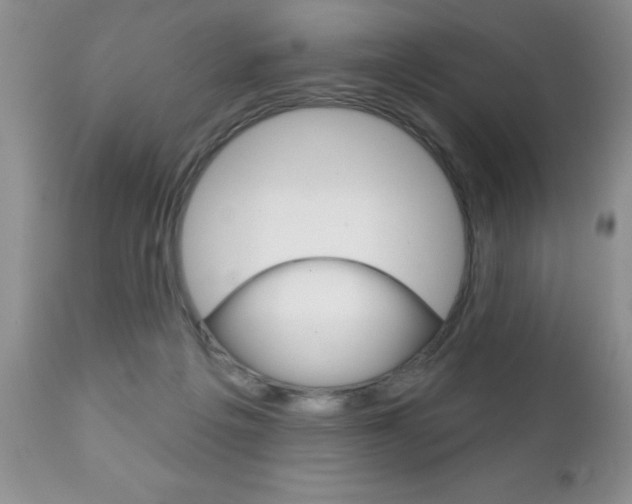 X0000111130217200906301113