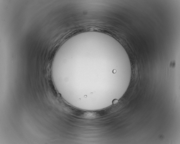 X0000111130218200906301113