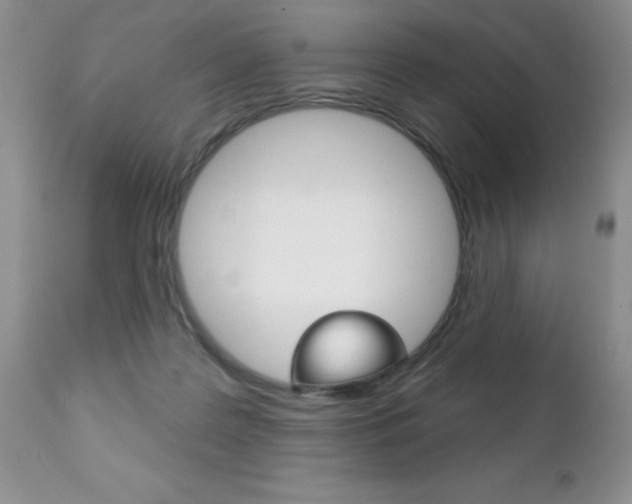 X0000111130219200906301113