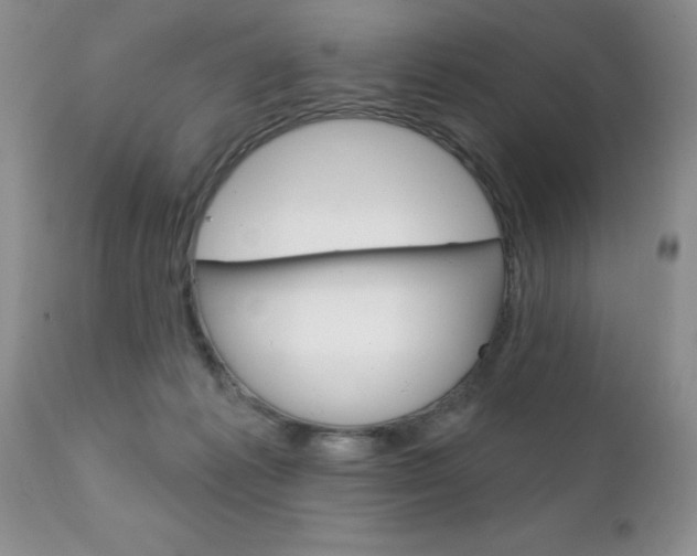 X0000111130221200906301113