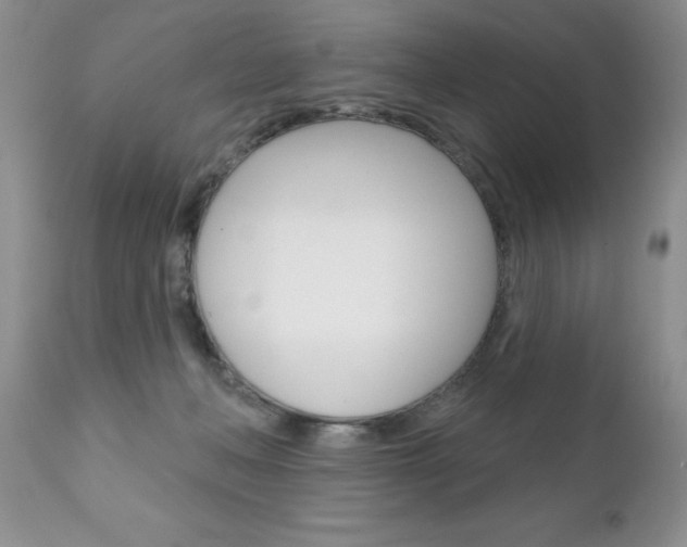 X0000111130222200906301113