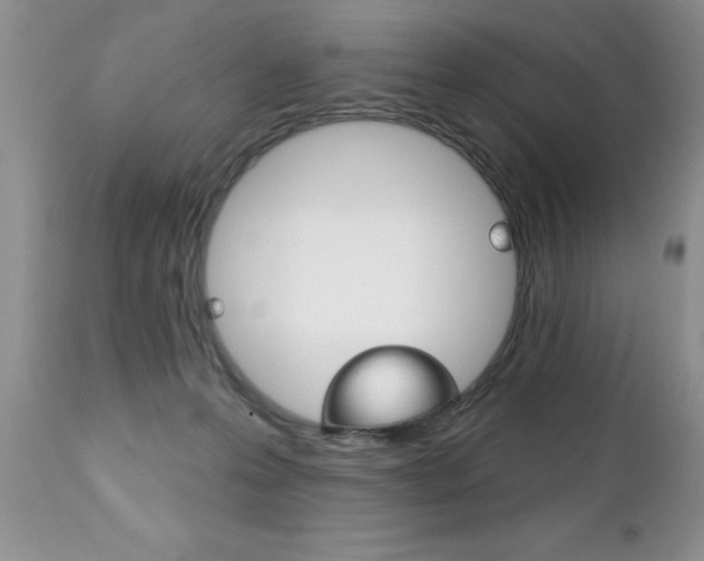 X0000111130223200906301113
