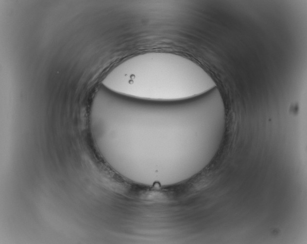 X0000111130224200906301113
