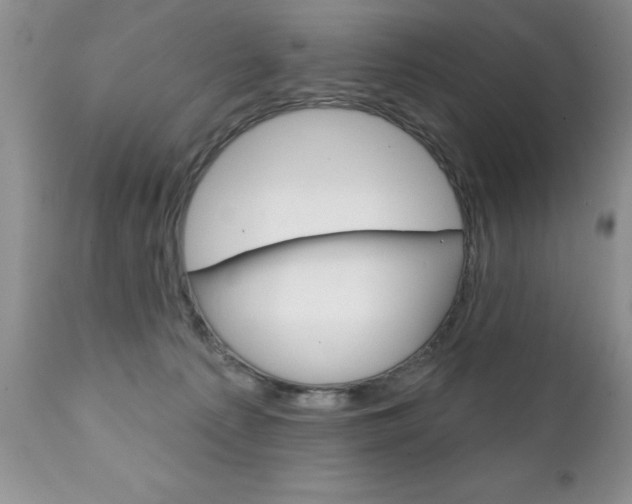 X0000111130225200906301113