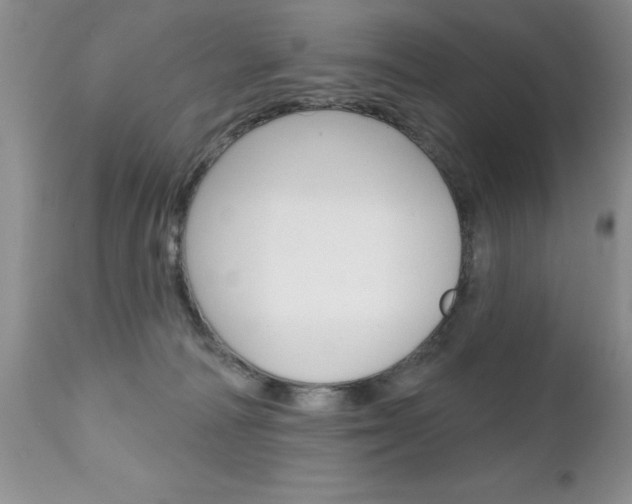 X0000111130226200906301113