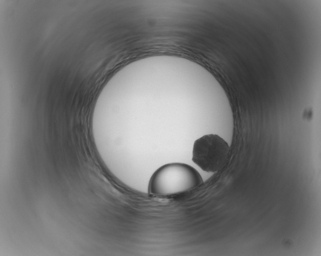 X0000111130227200906301113