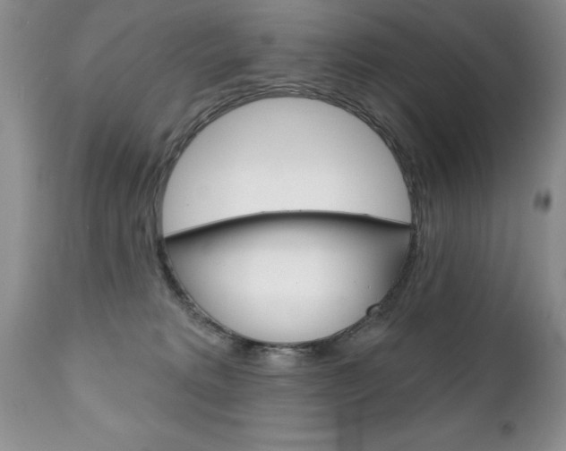 X0000111130229200906301113