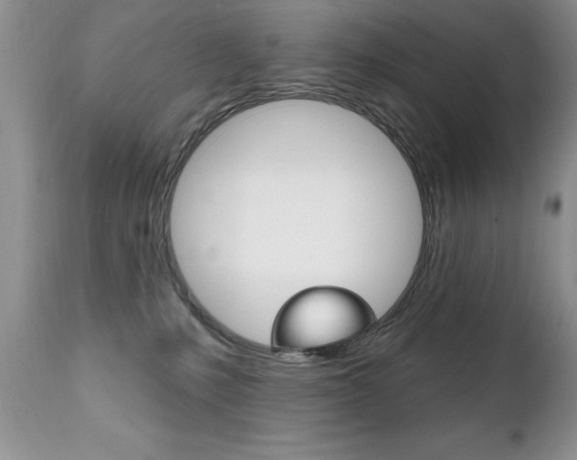 X0000111130231200906301113