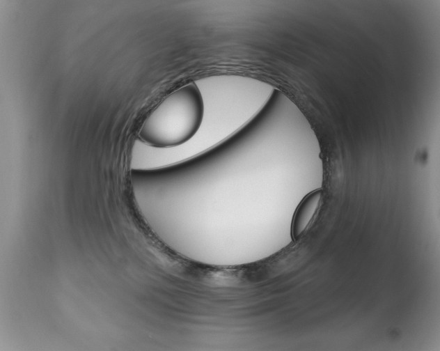 X0000111130232200906301113