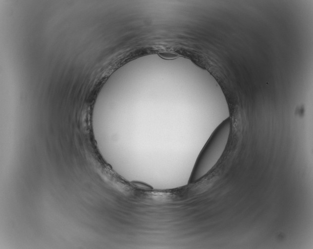 X0000111130233200906301113