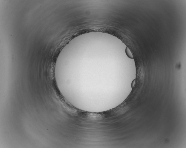 X0000111130234200906301113