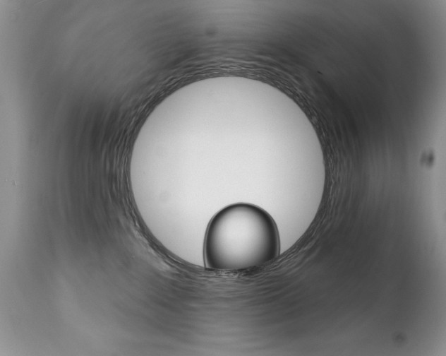 X0000111130235200906301113
