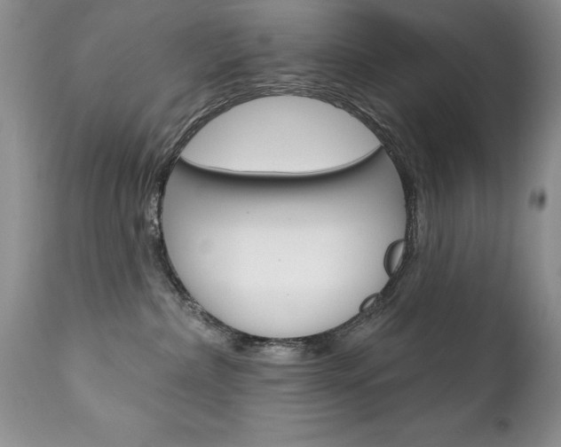 X0000111130236200906301113