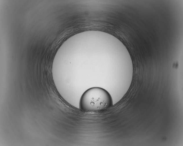 X0000111130237200906301113