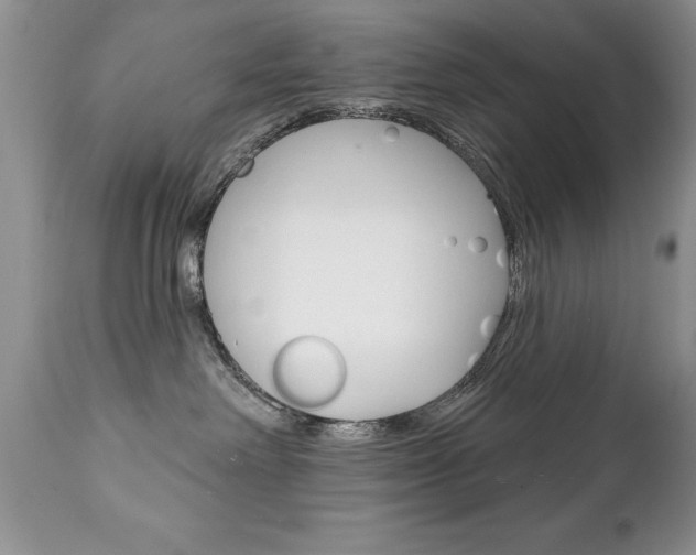 X0000111130238200906301113
