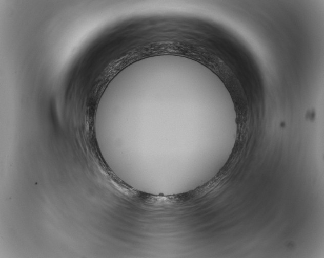X0000111130239200906301113