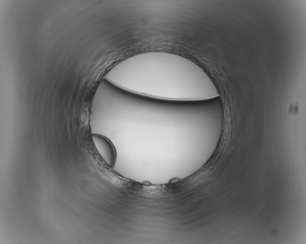 X0000111130240200906301113