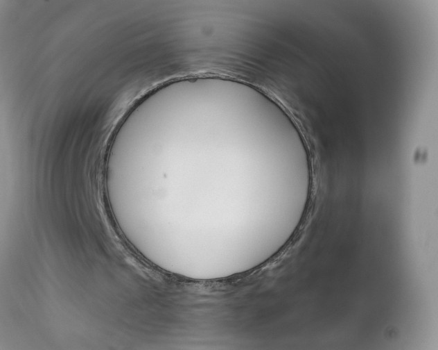 X0000111130241200906301112