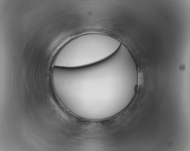 X0000111130243200906301112