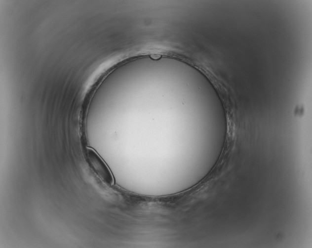 X0000111130244200906301112