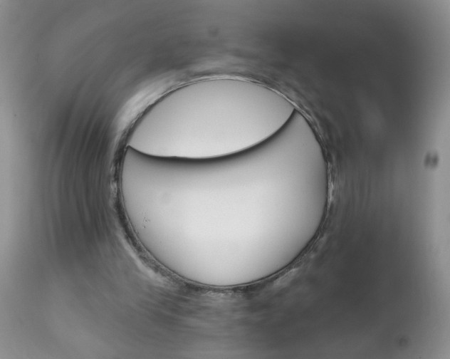 X0000111130245200906301112