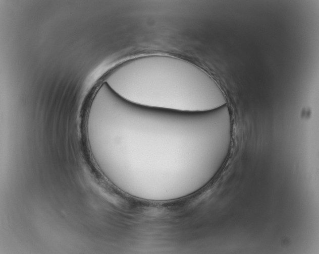 X0000111130246200906301112
