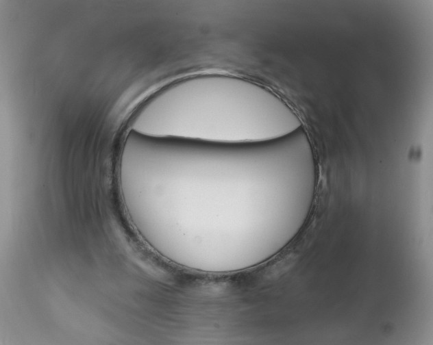 X0000111130247200906301112