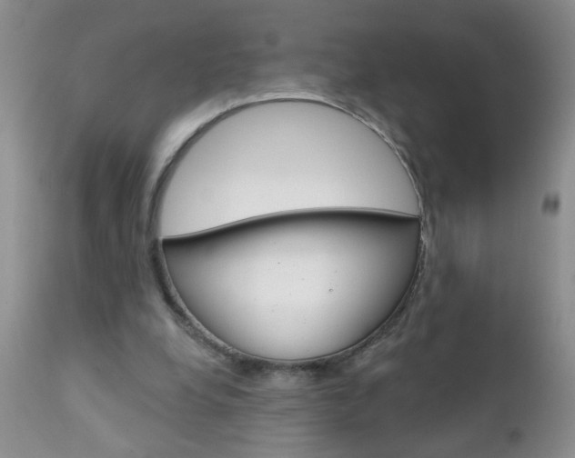 X0000111130248200906301112