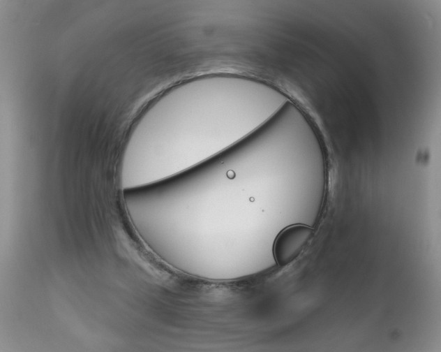 X0000111130249200906301112
