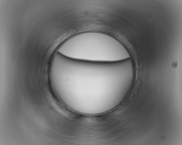 X0000111130250200906301112
