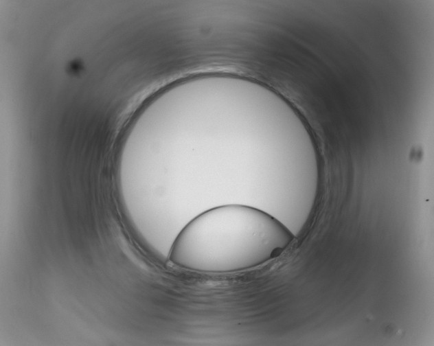 X0000111130252200906301112