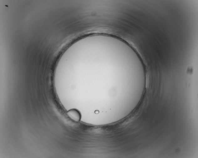 X0000111130253200906301112