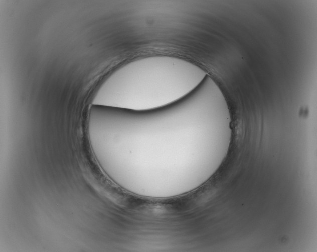 X0000111130254200906301112