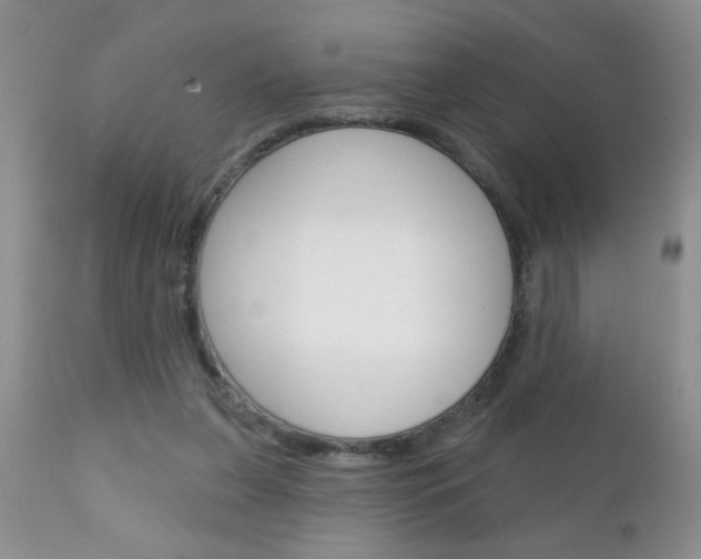 X0000111130255200906301112
