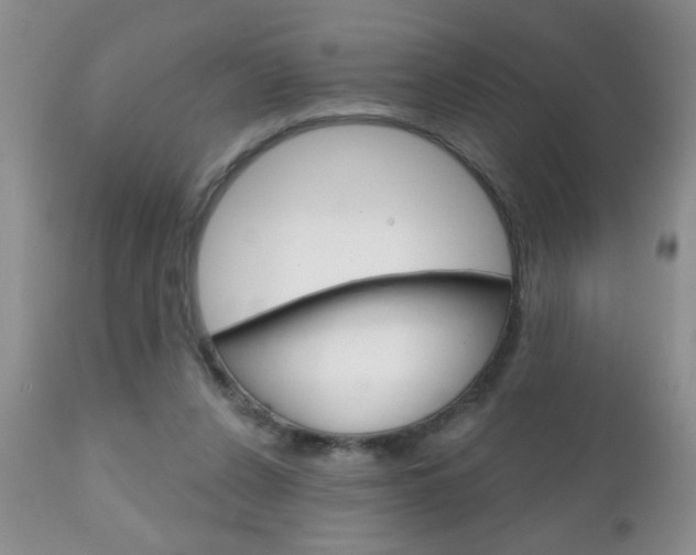 X0000111130256200906301112