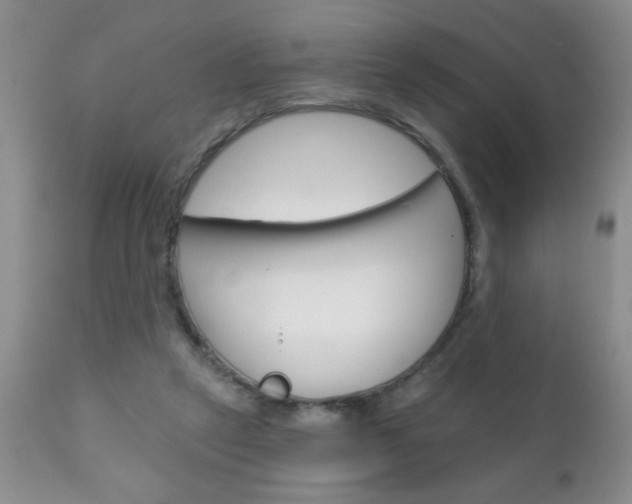 X0000111130257200906301112