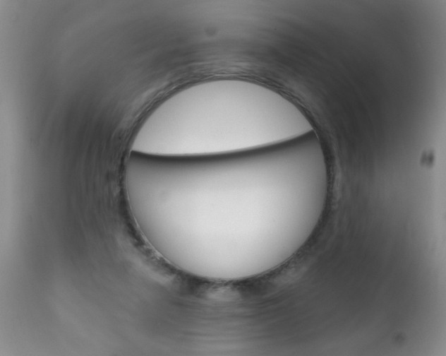 X0000111130258200906301112