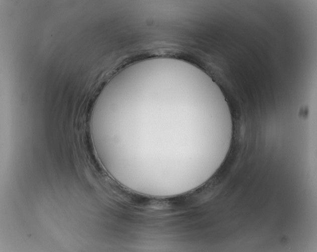 X0000111130263200906301112