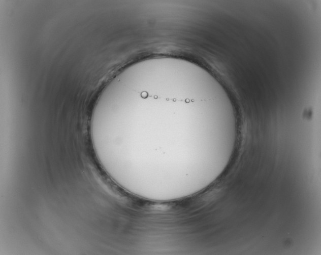 X0000111130265200906301112