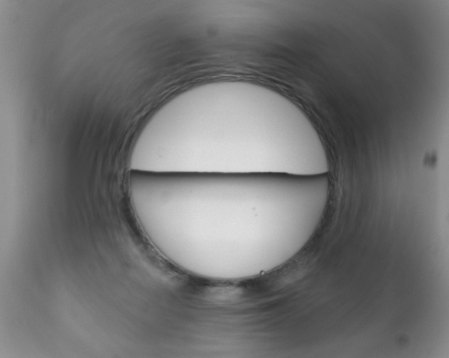 X0000111130266200906301112