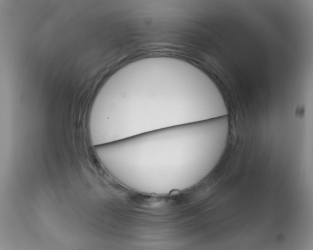 X0000111130267200906301112