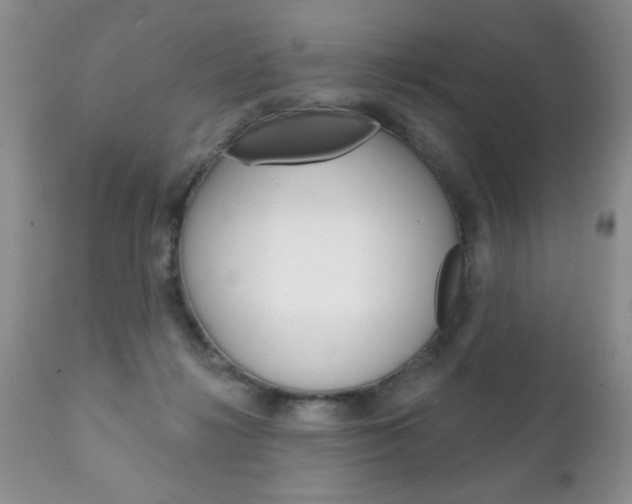 X0000111130268200906301112